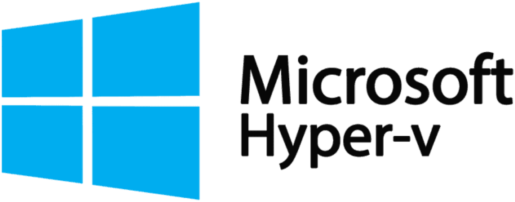 Hybrid-V