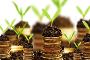 Sustainable Business