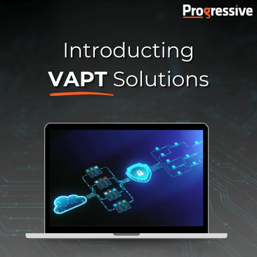 VAPT Services