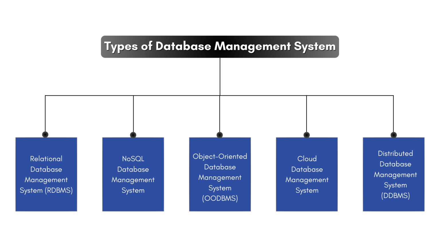 A Comprehensive Guide To Database Management